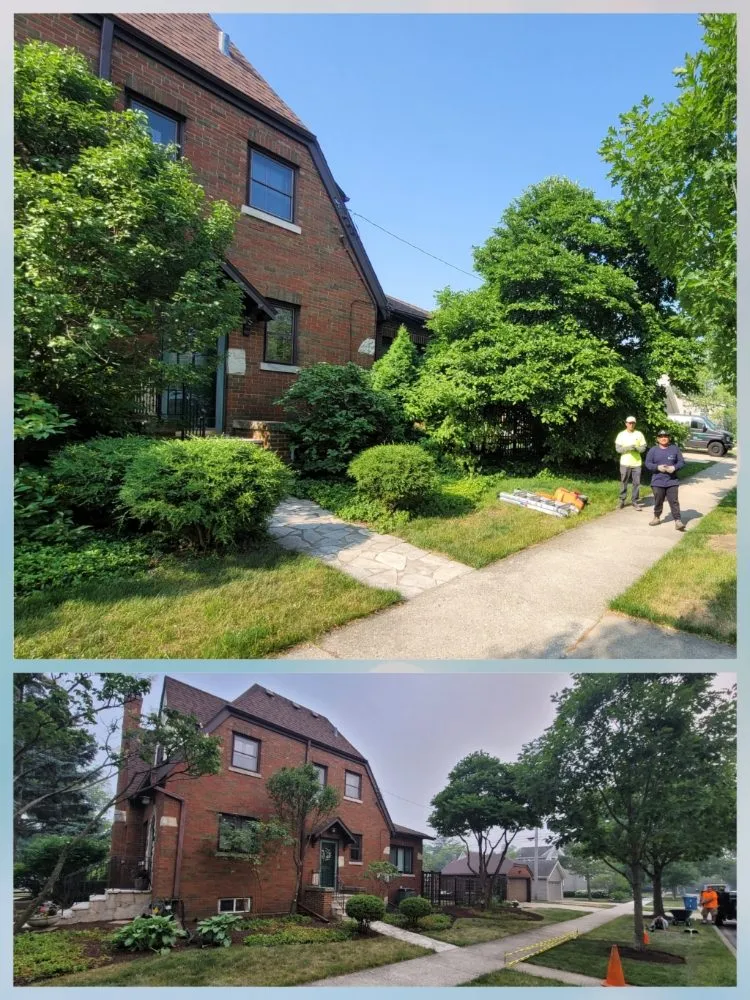 Top-rated landscape design experts serving Elmhurst, IL - ELM Landscapes