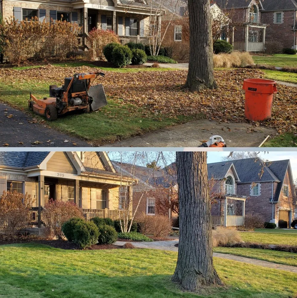 Custom residential landscaping experts serving Elmhurst, IL - ELM Landscapes