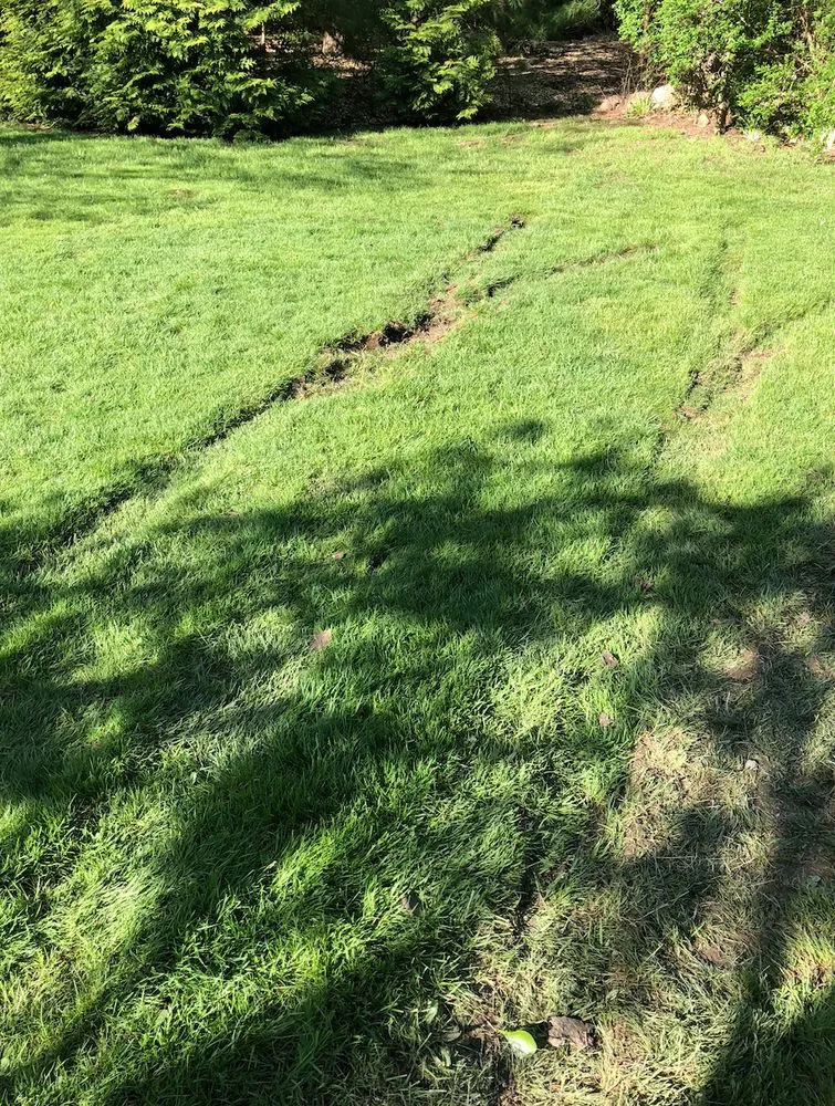 Custom outdoor landscaping experts serving Lynn, MA - Elm Landscaping & Construction