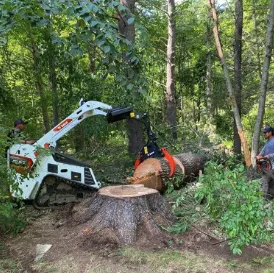 Top-rated garden landscaping for outdoor upgrades in Lynn, MA by Elm Landscaping & Construction