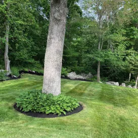 Local landscaping services for outdoor upgrades across Lynn, MA - Elm Landscaping & Construction