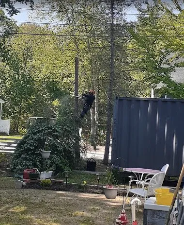 Custom lawn care service in Lynn, MA - Elm Landscaping & Construction