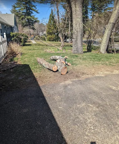 Expert landscape installation in Lynn, MA - Elm Landscaping & Construction