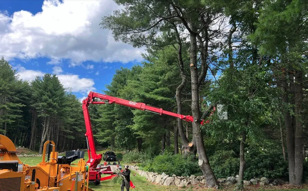 Top-rated yard cleanup service experts serving Lynn, MA - Elm Landscaping & Construction