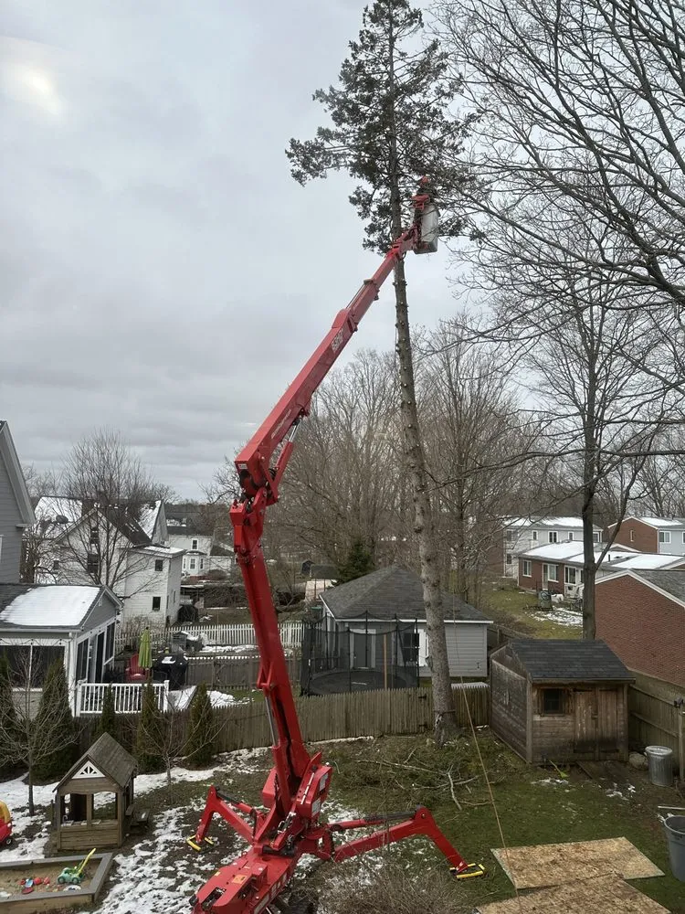 Reliable yard maintenance in Lynn, MA - Elm Landscaping & Construction