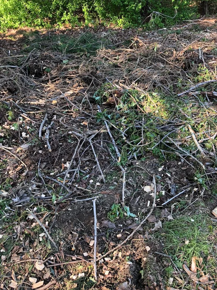 Affordable lawn care service for homes in Lynn, MA by Elm Landscaping & Construction