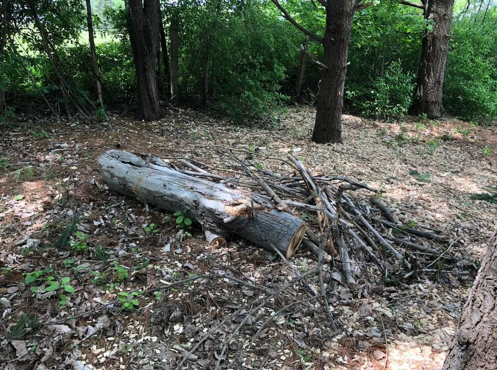 Top-rated lawn care service experts serving Lynn, MA - Elm Landscaping & Construction