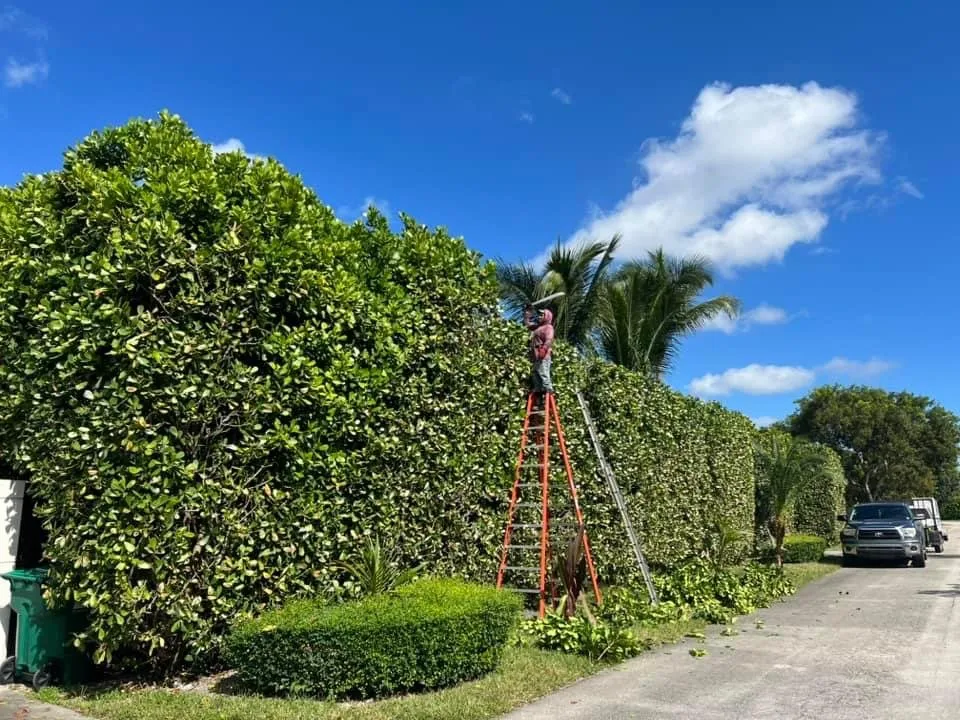 Reliable outdoor landscaping in Beaumont, TX - ELM Lanscaping Services