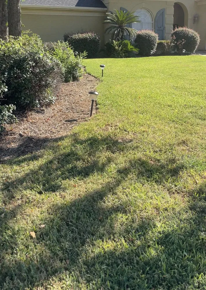 Expert landscape installation in Beaumont, TX - ELM Lanscaping Services