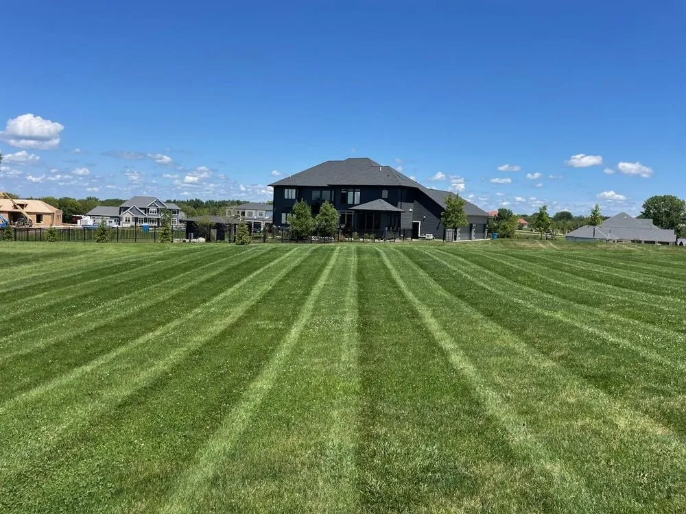 Top-rated yard cleanup service experts serving Ankeny, IA - Elm Pointe Lawn Care