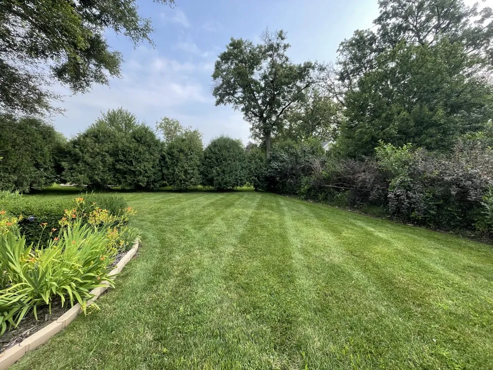 Affordable residential landscaping for residential properties in Ankeny, IA by Elm Pointe Lawn Care