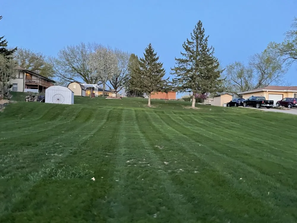 Professional lawn care service experts serving Ankeny, IA - Elm Pointe Lawn Care