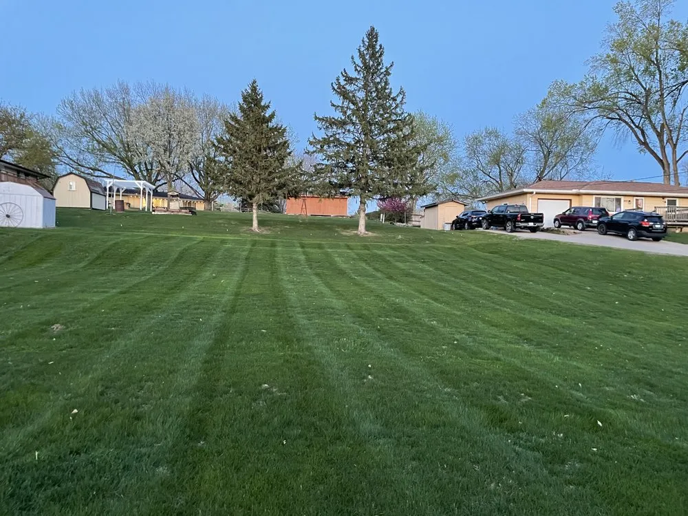 Local yard cleanup service experts serving Ankeny, IA - Elm Pointe Lawn Care