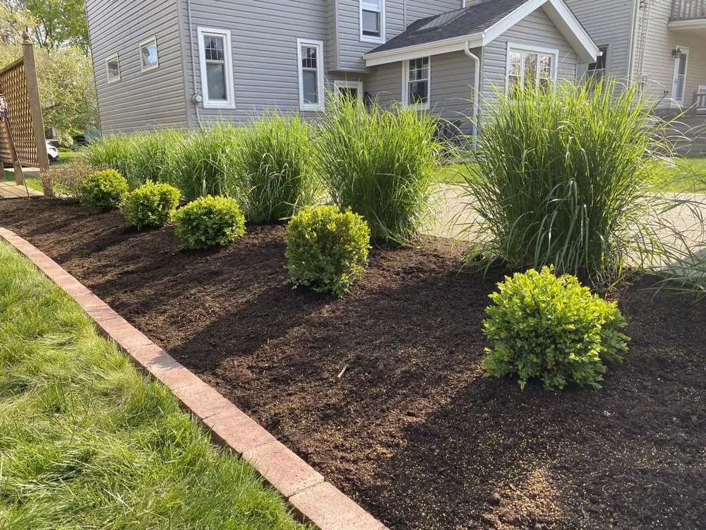 Custom yard cleanup service in Lakewood, OH - Elm Rose Gardens