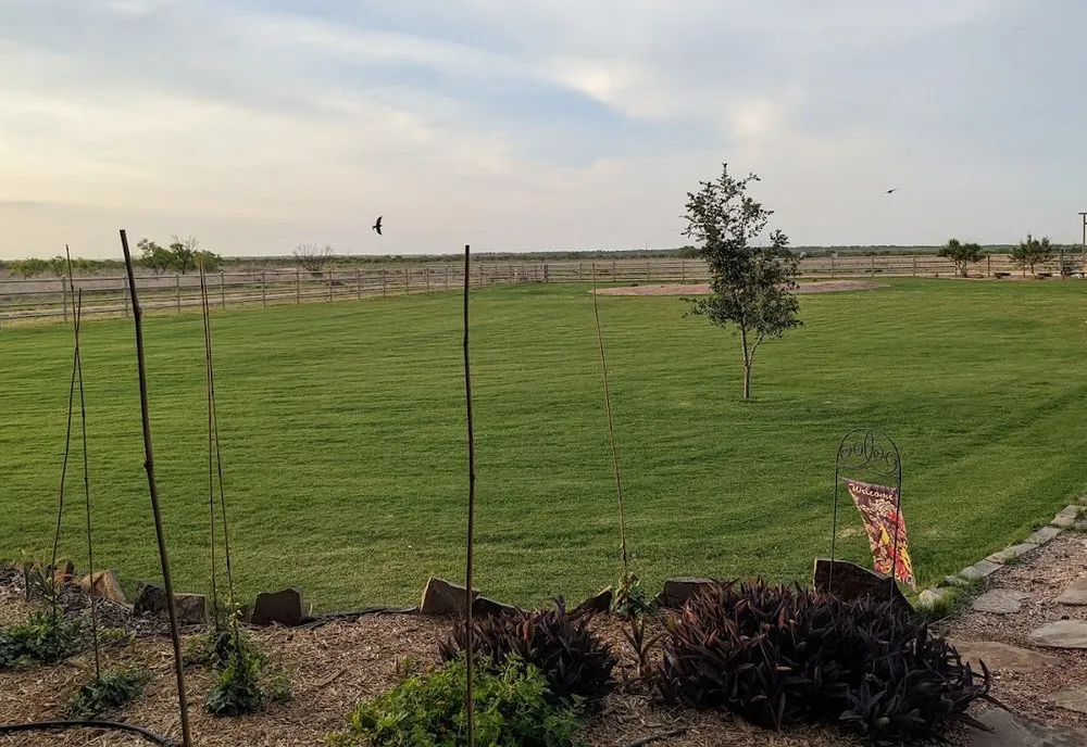Affordable landscape installation for year-round maintenance across Abilene, TX - Elmdale Farms Sod Outlet