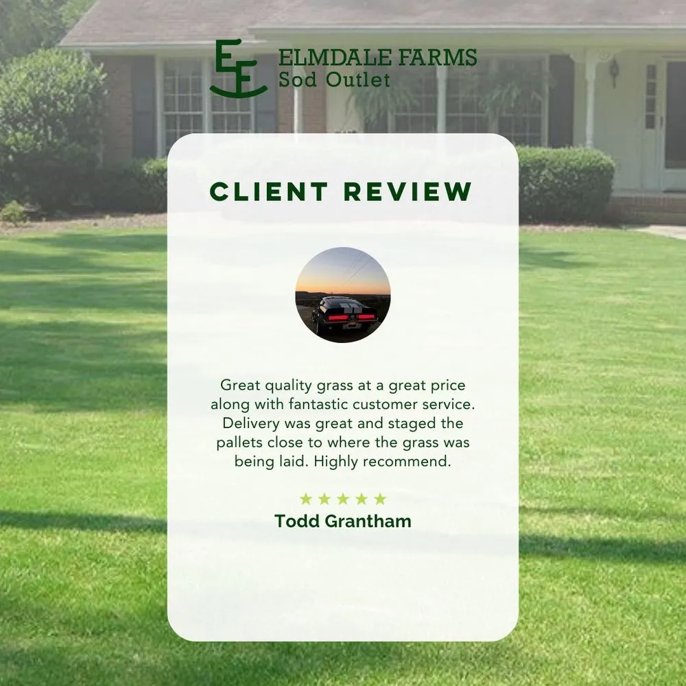 Affordable landscaping services experts serving Abilene, TX - Elmdale Farms Sod Outlet