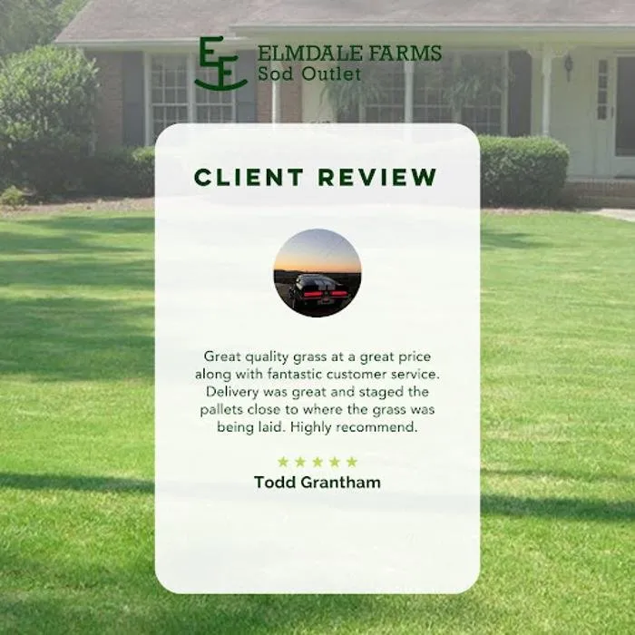 Professional landscaping services for year-round maintenance in Abilene, TX by Elmdale Farms Sod Outlet