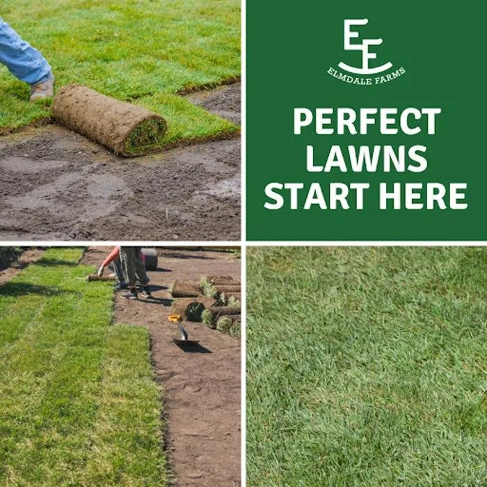 Expert landscaping services in Abilene, TX - Elmdale Farms Sod Outlet