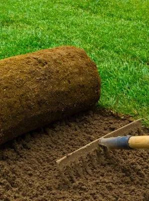 Elmdale Farms Sod Outlet Logo