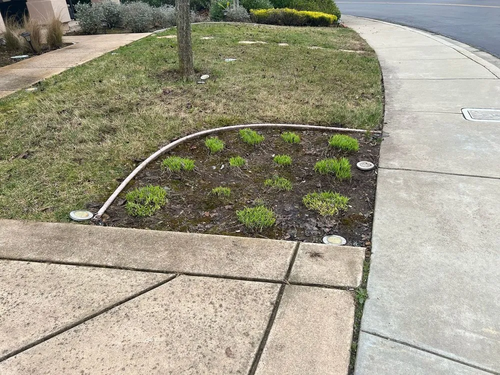 Local landscape installation near you across Oakland, CA - Elmer PG Landscaping Construction