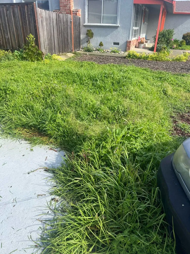 Trusted garden landscaping in Oakland, CA - Elmer PG Landscaping Construction