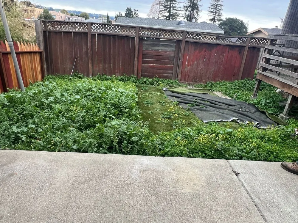 Local lawn mowing service in Oakland, CA - Elmer PG Landscaping Construction