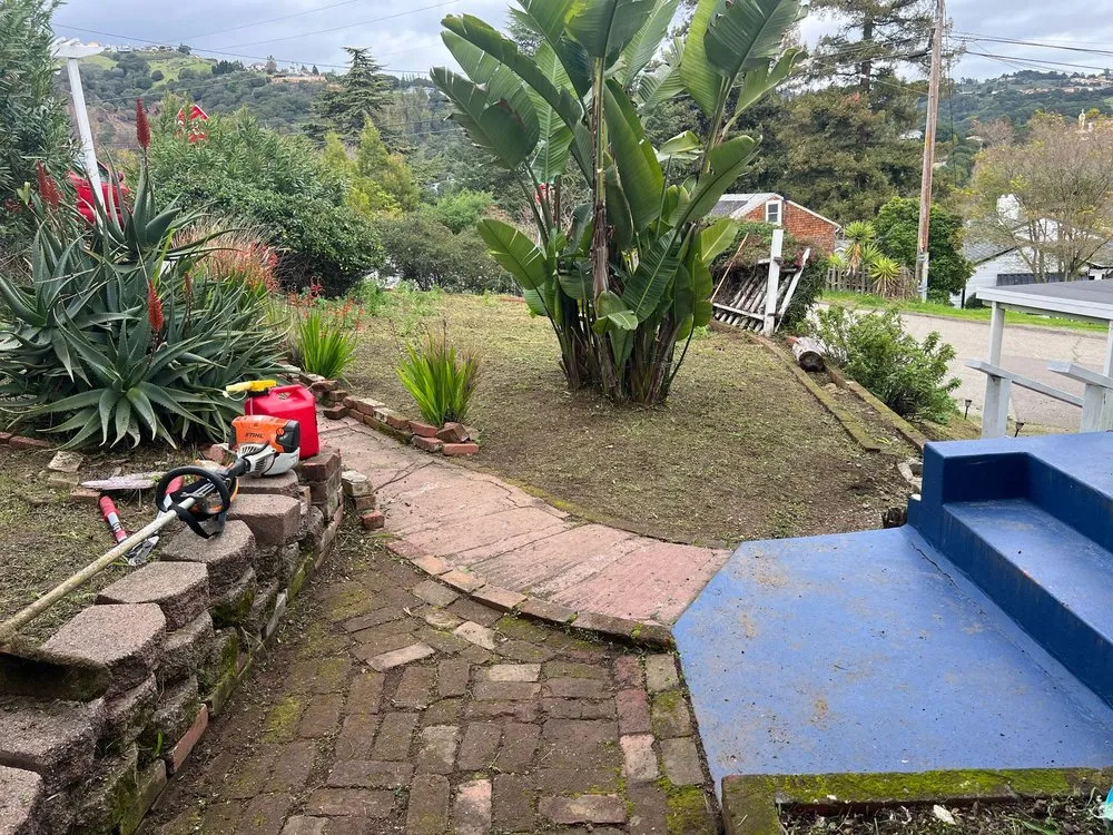 Top-rated garden landscaping with custom design in Oakland, CA by Elmer PG Landscaping Construction