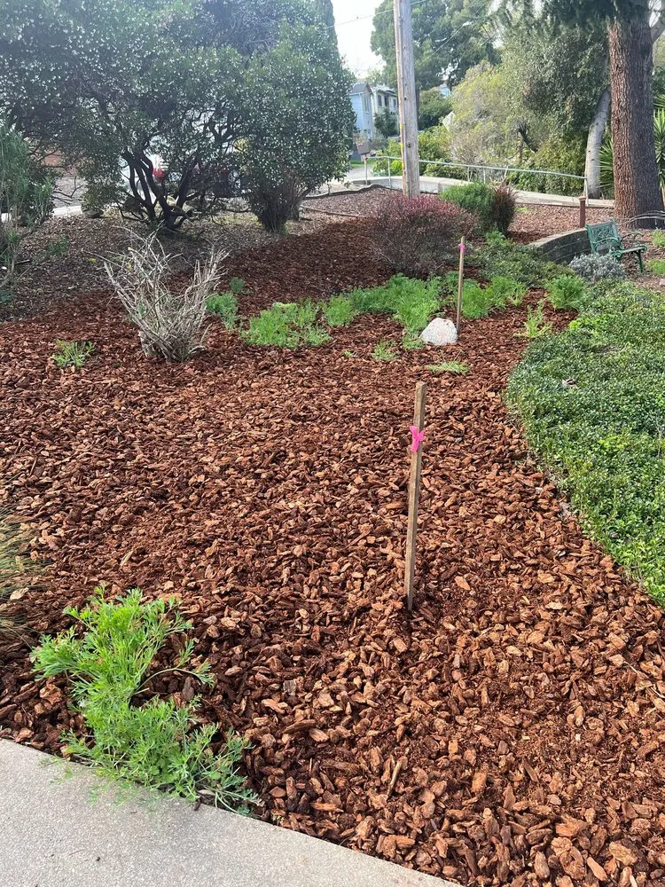 Affordable residential landscaping in Oakland, CA by Elmer PG Landscaping Construction
