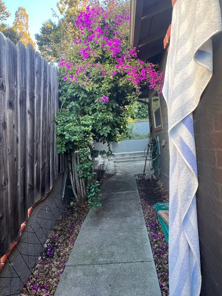 Affordable yard maintenance experts serving Oakland, CA - Elmer PG Landscaping Construction