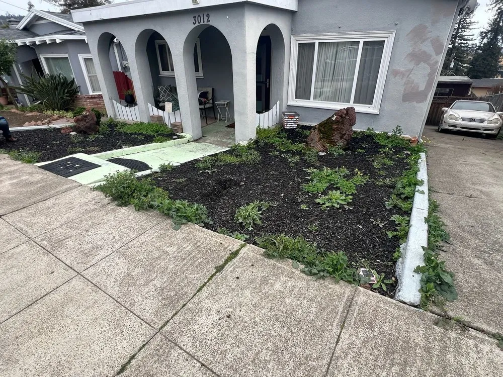 Local landscape installation in Oakland, CA by Elmer PG Landscaping Construction