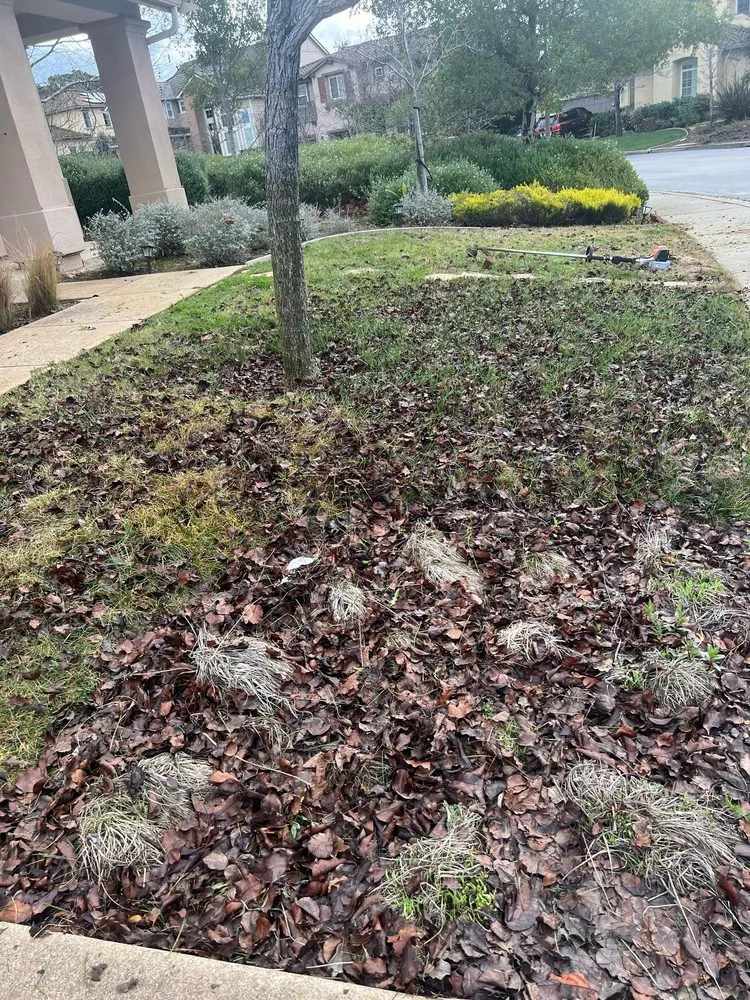 Top-rated yard maintenance in Oakland, CA by Elmer PG Landscaping Construction