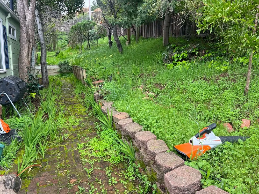 Local lawn mowing service with custom design across Oakland, CA - Elmer PG Landscaping Construction