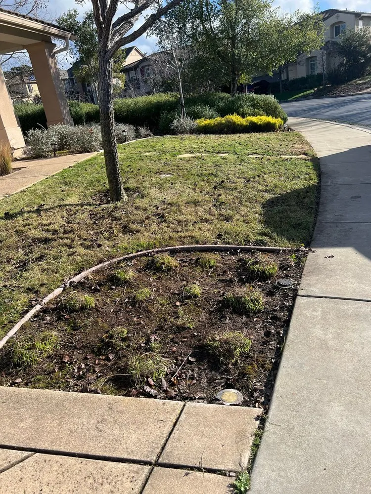 Top-rated yard maintenance in Oakland, CA - Elmer PG Landscaping Construction