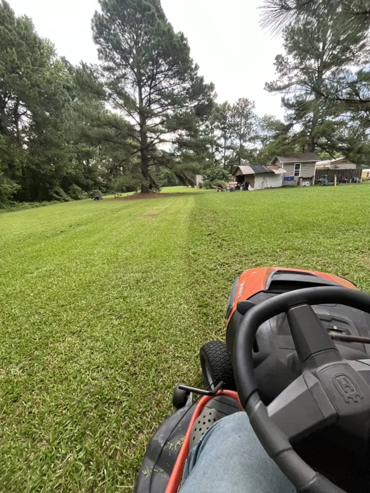 Top-rated yard cleanup service for beautiful yards across Smithfield, NC - Elmercutsyards