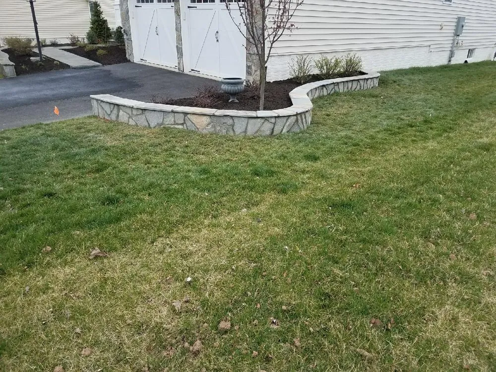 Reliable yard cleanup service experts serving Manassas, VA - Elmer&DimasDesigns