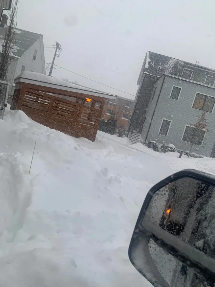 Expert yard cleanup service for beautiful yards in Lynn, MA by Elmer's Landscaping and Construction