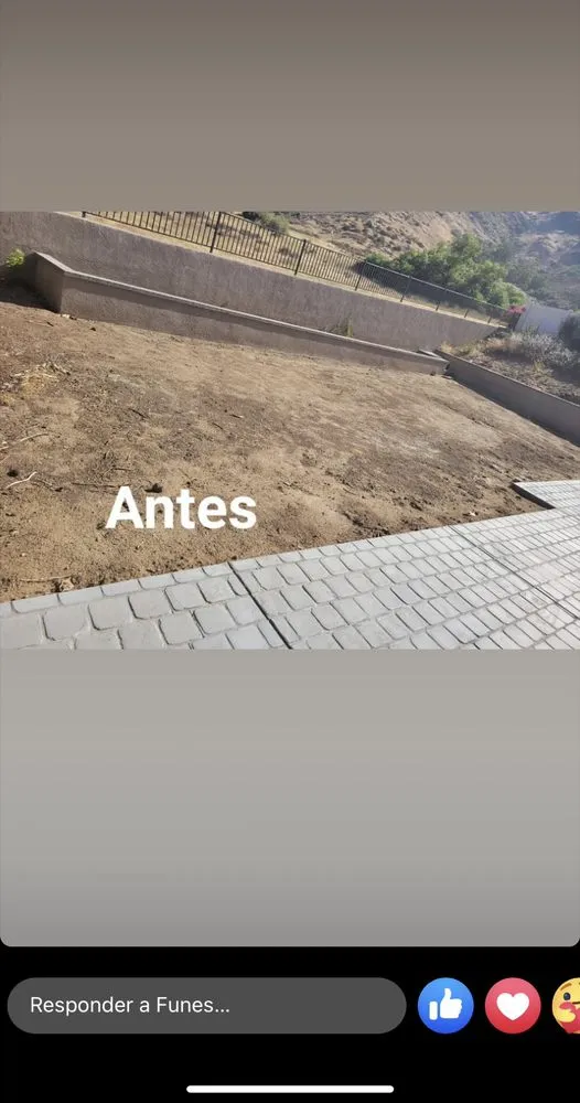 Trusted lawn care service for year-round maintenance in Riverside, CA by Elmer’s Landscaping