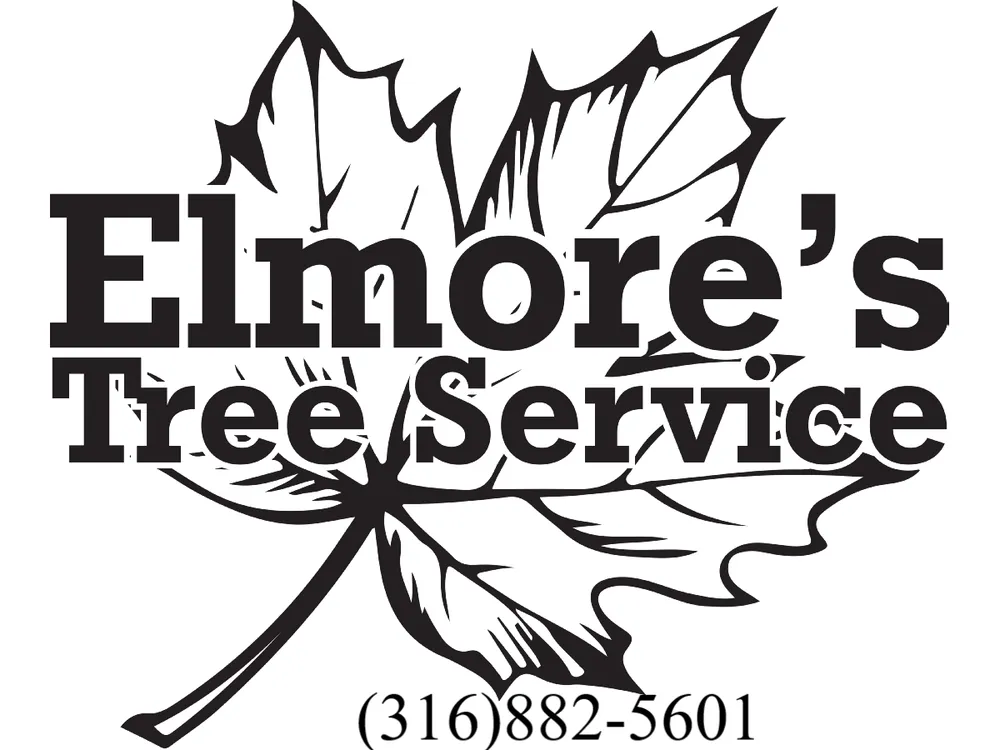 Professional landscaping services experts serving Haysville, KS - Elmore's Tree Service