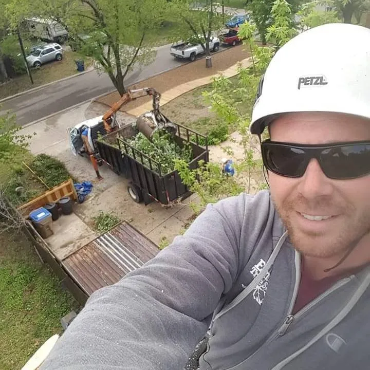 Local residential landscaping near you across Haysville, KS - Elmore's Tree Service