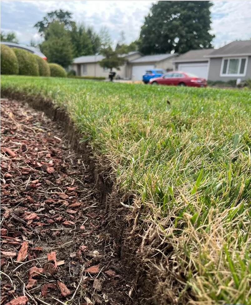 Top-rated landscape design experts serving Albany, OR - ElMower Landscaping Maintenance