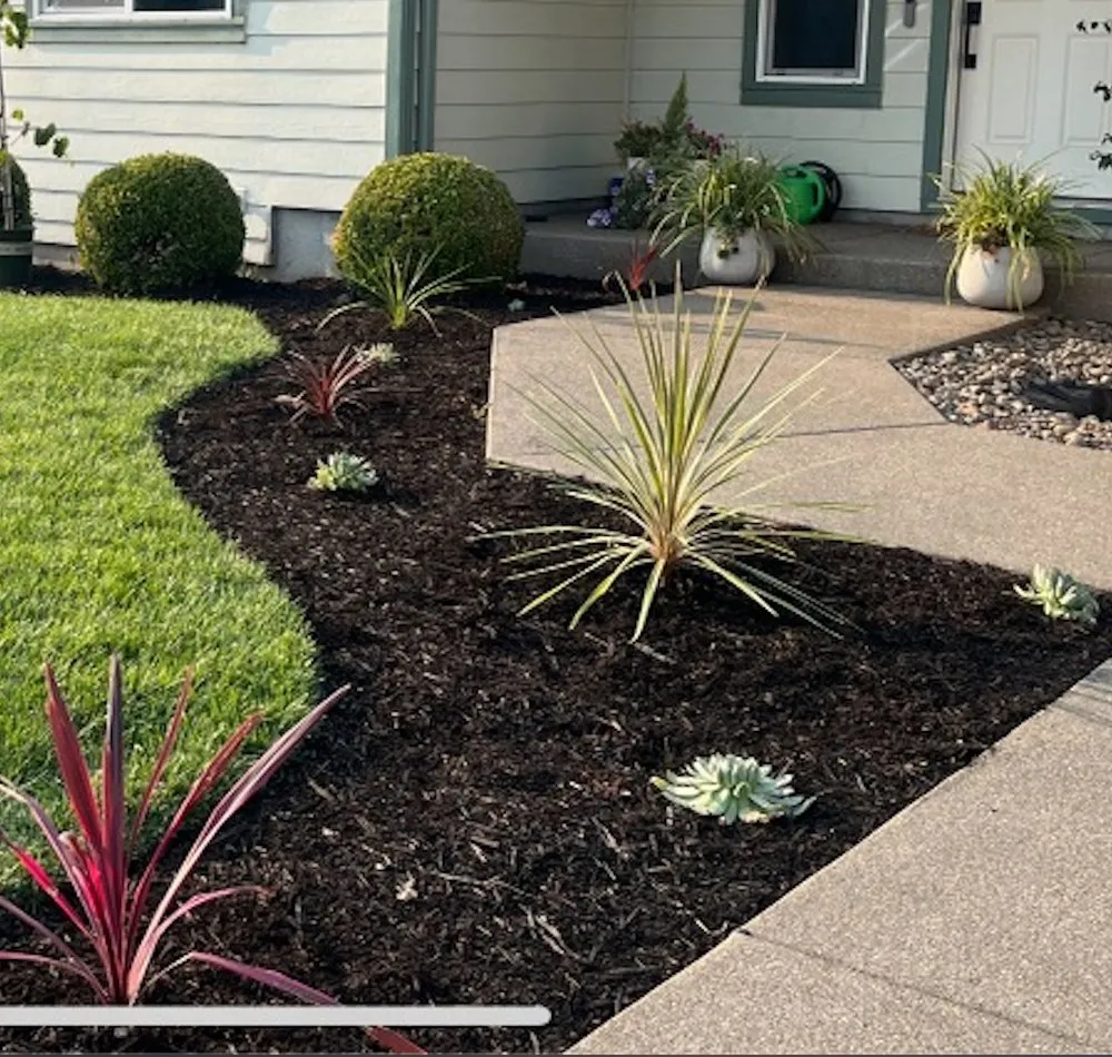 Top-rated landscape installation in Albany, OR by ElMower Landscaping Maintenance