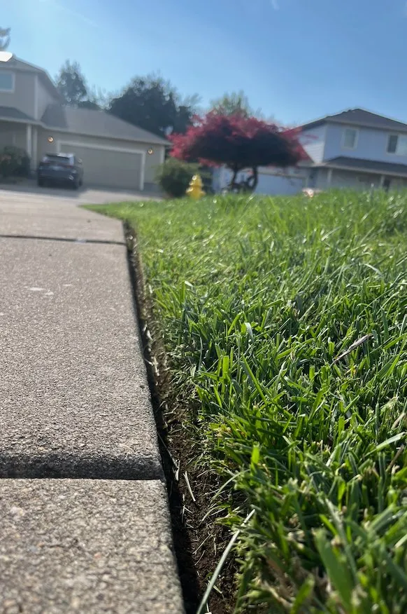Trusted yard maintenance in Albany, OR - ElMower Landscaping Maintenance