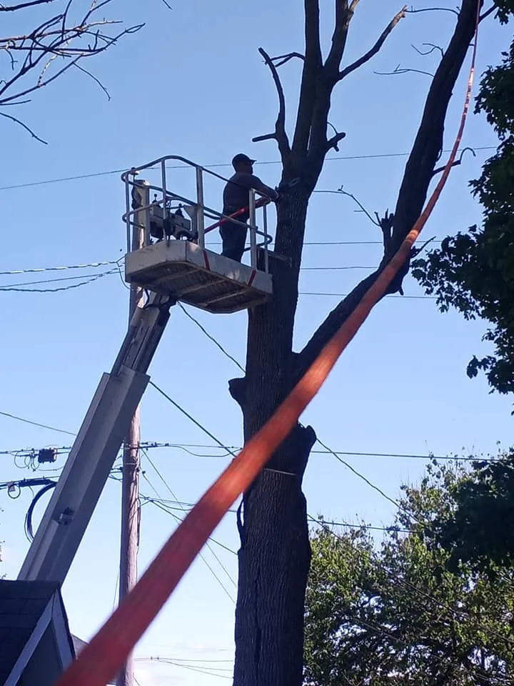 Reliable landscaping services near you in Frankfort, IN by ELM'S