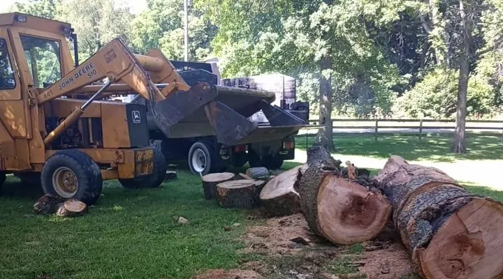 Reliable yard cleanup service experts serving Frankfort, IN - ELM'S