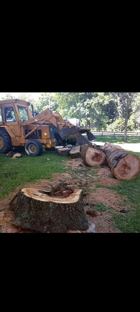 Reliable residential landscaping for beautiful yards across Frankfort, IN - ELM'S