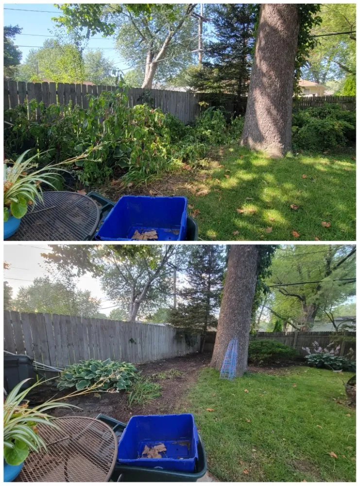 Professional lawn mowing service with custom design across Montgomery, IL - Elm's Landscape & Hardscape