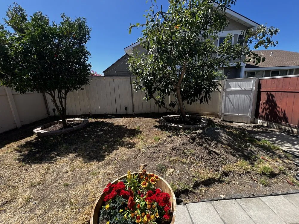 Professional yard cleanup service in Vista, CA - ELMT Landscape