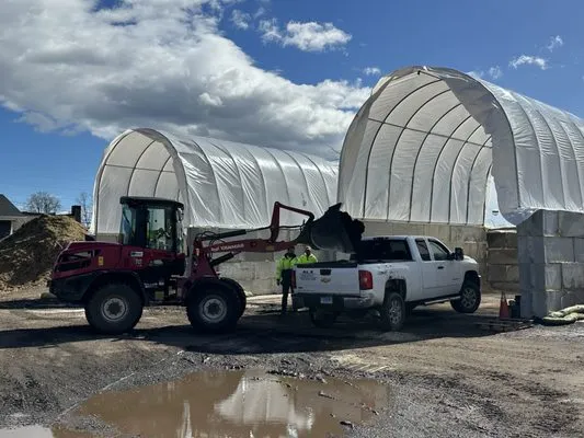 Elmwood Bark and Stone