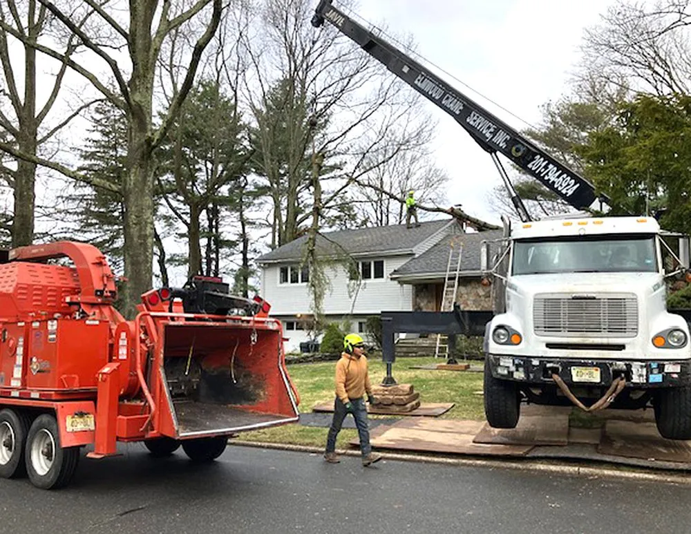 Top-rated yard cleanup service in Bergenfield, NJ - Elmwood Services
