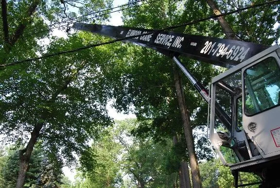 Expert garden landscaping for residential properties in Bergenfield, NJ by Elmwood Services